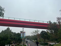-青枫公园