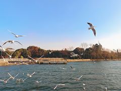 -长广溪湿地公园