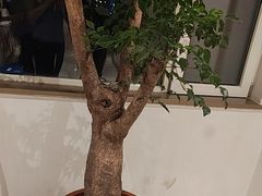 -映像威海·海鲜味道(经区店)