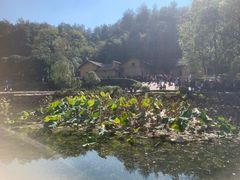 -韶山毛泽东同志故居