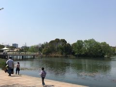 -新江湾城公园