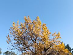 -金堂县云顶石城风景区