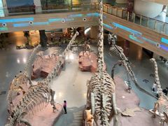 -安徽省地质博物馆