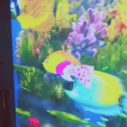 -酷嗒动物文化乐园(cutezoo西溪乐天城店)