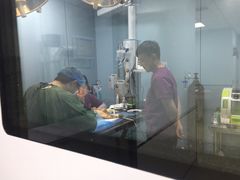 -美联众合宠物医院·爱萌分院·内外科·猫科中心