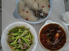 -小蝌蚪·寻·月嫂(普陀总部)