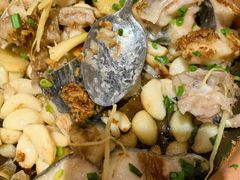 -围龙屋客家食府(福田店)