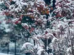 -唐城墙遗址公园