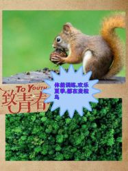 -麦粒鸟亲子游