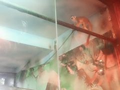 -三亚千古情景区