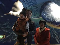 -烟台海昌鲸鲨海洋公园