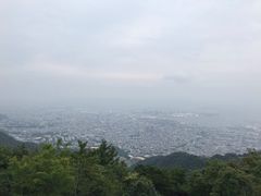 -神户市立六甲山牧场