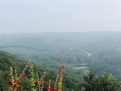 -伏羲山旅游区