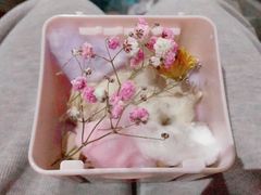 -爱侣宠医·鹦鹉专科·小型哺乳类·异宠专科(灵石路店)