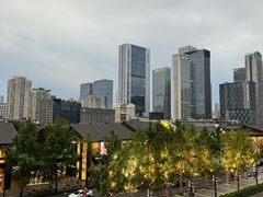 -成都尼依格罗酒店