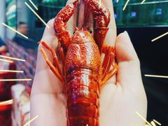 -金陵暴走小龙虾·迷踪蟹(凯德MALL店)