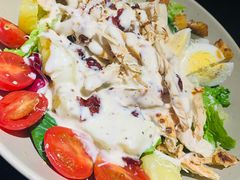 烤鸡肉考博沙拉-机器人火炉披萨