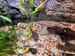 -上海海洋水族馆