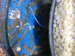 -蟹谢蒸鲜自助餐厅