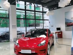 -TESLA 特斯拉(深圳观澜特斯拉直营钣喷中心)