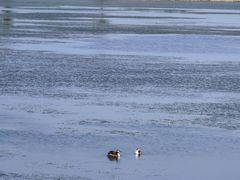 -野鸭湖国家湿地公园