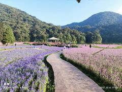 -广州市石门国家森林公园