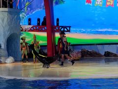 -三亚海昌梦幻海洋不夜城