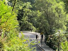 -深圳仙湖植物园