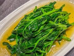 清炒豆尖-烟雨青城·川菜(北京坊店)