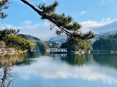 -庐山风景区花径公园