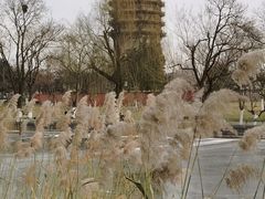 -西海子公园