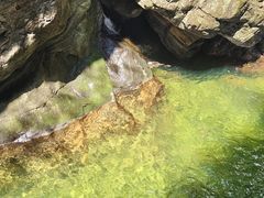 -牛背梁国家森林公园