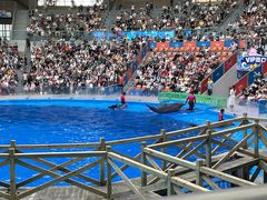 -海合安成都极地海洋公园