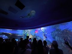 -深海中餐厅(国家海洋博物馆店)