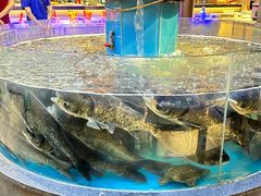 -魏铭鱼头捞饭(晋阳路店)