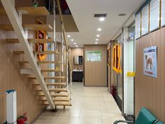 -米苏动物医院·犬猫专科·骨科外科内窥镜