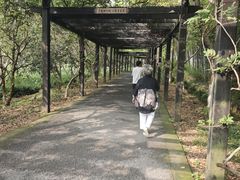 -九龙潭景区