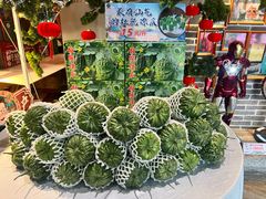 -邑家人·山水四合院