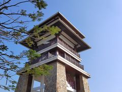 -大湾区中央湿地公园