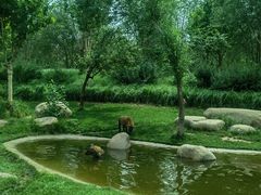 -北京野生动物园