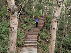 -白草畔自然风景区