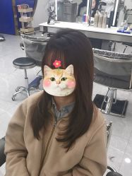 -丝念美发·专注烫染