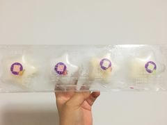 元祖星空月饼冰淇淋-GANSO元祖食品(白下店)