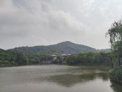 -中华孝德园