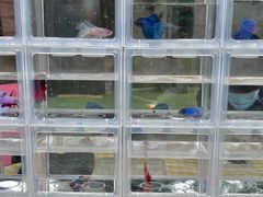 -西安电影制片厂