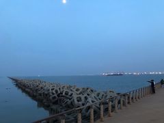 -东疆建设开发纪念公园