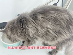 -熙.Hair 丨专注女子中长发丨