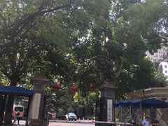 -山东省立医院(中心院区)