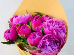 -双季花艺园艺市场(浦东店)