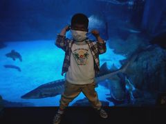 -烟台海昌鲸鲨海洋公园